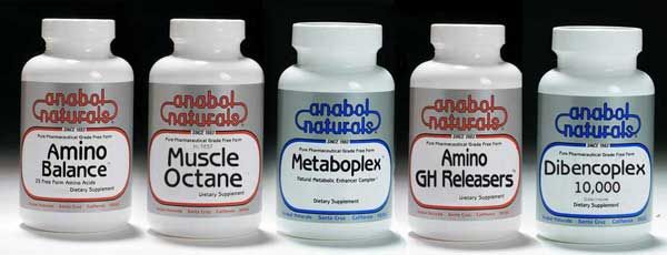Muscle Mass and Size